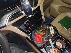Buick GL8 ES Land Respect 653T Respect Enjoyment Edition - ფოტო 15