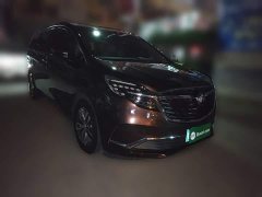 Buick GL8 ES Land Respect 653T Respect Enjoyment Edition - ფოტო 3