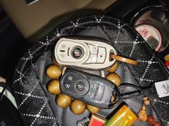 Buick GL8 ES Land Respect 653T Respect Enjoyment Edition - ფოტო 9