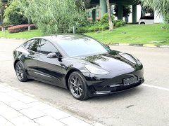 Tesla Model 3 Standard Range RWD Upgrade - ფოტო 3