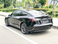 Tesla Model 3 Standard Range RWD Upgrade - ფოტო 8