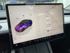Tesla Model Y Rear-Wheel Drive - ფოტო 11