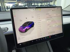 Tesla Model Y Rear-Wheel Drive - ფოტო 17