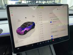 Tesla Model Y Rear-Wheel Drive - ფოტო 18