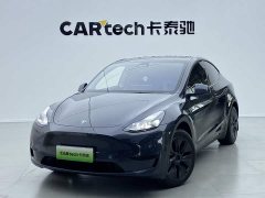 Tesla Model Y Rear-Wheel Drive - ფოტო 6