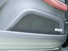 Porsche Panamera Executive Extended Wheelbase 2.9T - ფოტო 18