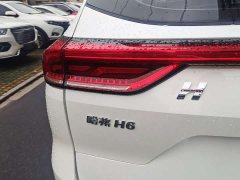 Haval H6 2021 National Trend Edition 1.5T Automatic Urban Version - ფოტო 11