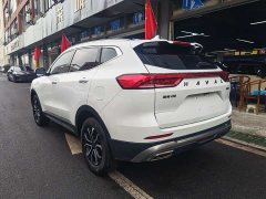 Haval H6 2021 National Trend Edition 1.5T Automatic Urban Version - ფოტო 4