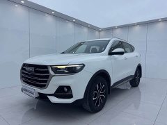 Haval H6 National Trend Edition 1.5T Automatic Urban Version - ფოტო 1