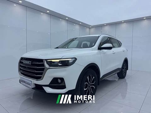 2023 Haval H6 National Trend Edition 1.5T Automatic Urban Version