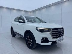 Haval H6 National Trend Edition 1.5T Automatic Urban Version - ფოტო 3