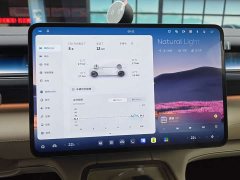 NIO ES8 Five-Seat Executive Luxury Edition - ფოტო 6