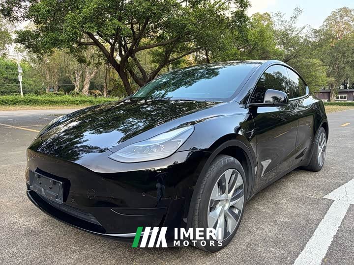 Tesla Model Y Rear-Wheel Drive