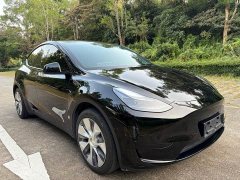 Tesla Model Y Rear-Wheel Drive - ფოტო 3