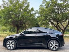 Tesla Model Y Rear-Wheel Drive - ფოტო 4