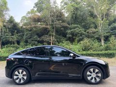 Tesla Model Y Rear-Wheel Drive - ფოტო 6