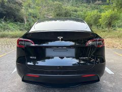 Tesla Model Y Rear-Wheel Drive - ფოტო 8
