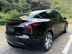 Tesla Model Y Rear-Wheel Drive - ფოტო 9