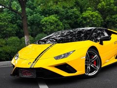 Lamborghini Huracán 2020 Huracán EVO RWD - ფოტო 13