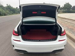 BMW 3 Series 320Li M Sport Package - ფოტო 13