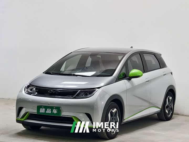 BYD Dolphin 405km Fashion Edition - ავტომობილი ჩინეთიდან