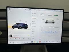 Nio Lerado L60 60kWh Rear-Wheel Drive - ფოტო 16