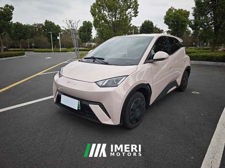 BYD Seagull Vitality Edition - ავტომობილი ჩინეთიდან