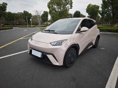 BYD Seagull Vitality Edition - ფოტო 1