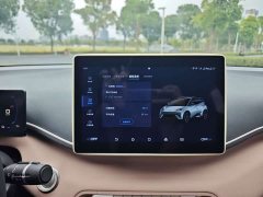 BYD Seagull Vitality Edition - ფოტო 13