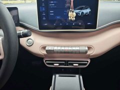 BYD Seagull Vitality Edition - ფოტო 14