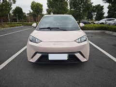 BYD Seagull Vitality Edition - ფოტო 2