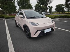 BYD Seagull Vitality Edition - ფოტო 3