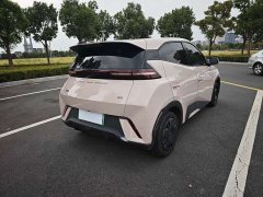 BYD Seagull Vitality Edition - ფოტო 7