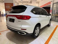 Haval M6 PLUS 1.5T Manual Elite Smart Connected Edition - ფოტო 4