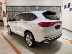 Haval M6 PLUS 1.5T Manual Elite Smart Connected Edition - ფოტო 6