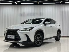 Lexus NX New Energy 400h Comfort Edition - ფოტო 1