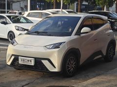BYD Seagull Vitality Edition - ფოტო 1