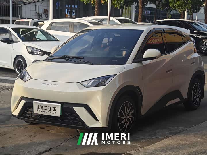 BYD Seagull Vitality Edition