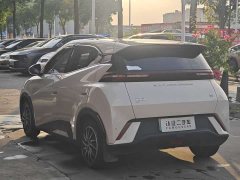 BYD Seagull Vitality Edition - ფოტო 12