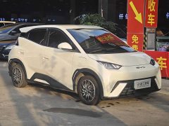BYD Seagull Vitality Edition - ფოტო 3
