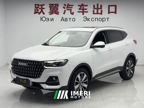 2024 Haval H6 National Trend Edition 1.5T Automatic Champion Version