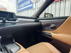 Lexus ES 300h Excellence - ფოტო 16