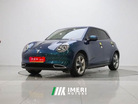 2021 ORA Good Cat 400km Standard Range Athena Edition Ternary Lithium - ავტომობილი ჩინეთიდან