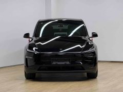 Tesla Model Y 2027 Rear-Wheel Drive Edition - ფოტო 2