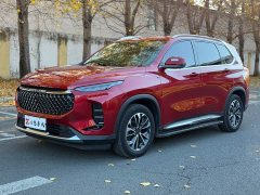 Maxus D60 2019 1.5T Automatic Comfort Edition 5-seater - ფოტო 1
