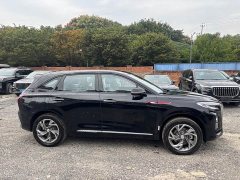 FAW Red Flag HS3 PHEV 2024 115km Dynamic Edition - ფოტო 4