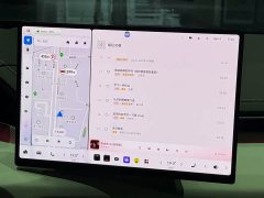 Zeekr 001 YOU Edition 100kWh AWD - ფოტო 10