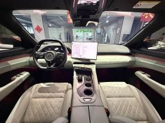 Zeekr 001 YOU Edition 100kWh AWD - ფოტო 7