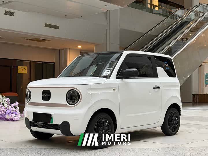 Geely Panda Mini 200km Endurance Edition - ავტომობილი ჩინეთიდან