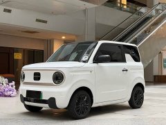 Geely Panda Mini 200km Endurance Edition - ფოტო 1